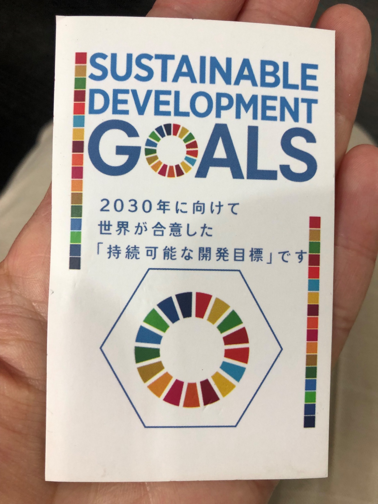 ＳＤＧｓ＊宣言