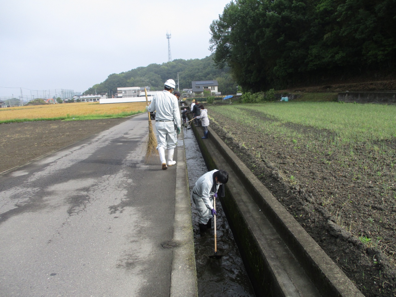 用水路の清掃活動